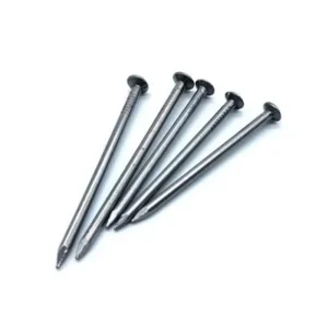 Paku Uk.1 inch